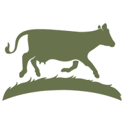 Logo of company Sweet Grass Dairy